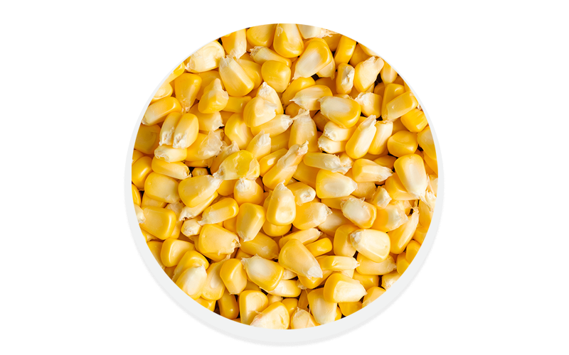 cultivos agrícolas