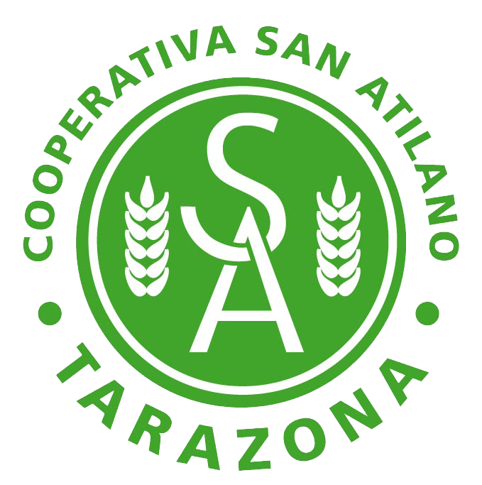 sanatilano.es